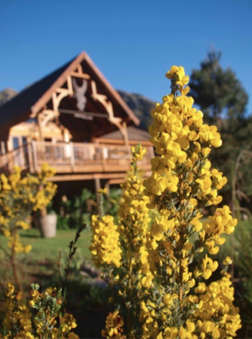 ScalarHoney Lodge